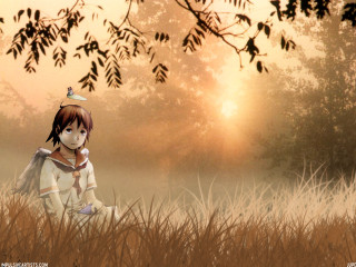 Girl field bird wings sunset - free 3d render wallpaper