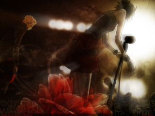 Woman red dress red flower - a red flower free wallpaper for desktop