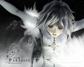 White angel woman wolf moon - white wing free wallpaper