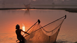 Man lake net birds fishing - free bird wallpaper for desktop