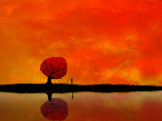 Tree red sky water reflection - cloud and water free wallpaper