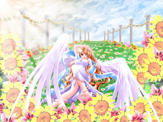 Angel wings flower field dress - a white angel free wallpaper for desktop