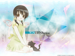 Girl green dress cat blue - a green dress free wallpaper