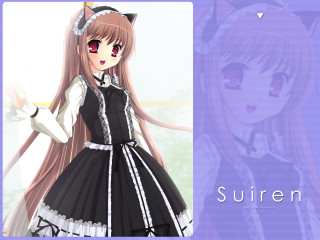 Anime girl cat ears long - surreality free wallpaper