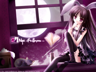 Girl cat lap window moon - a window sill free wallpaper