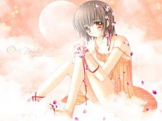 Girl cherry blossoms moonflower anime - her chest free wallpaper