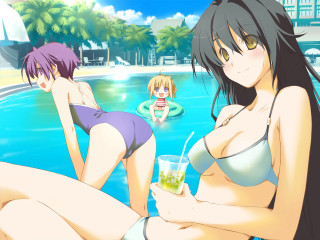 Poolside beach girls drinks summer - free bikini wallpaper