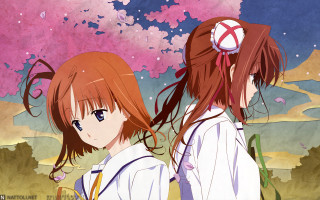 Pink flowers girls outdoors bun - a pink sky free wallpaper