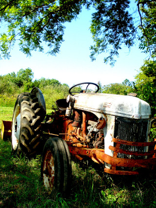 Old tractor field grass blue - free retro wallpaper for mobile