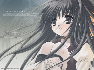 Girl longhair whiteshirt bluebackground sailorcollar - chizuko yoshida free wallpaper