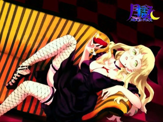 Woman couch man cat argyle - top of a couch next free wallpaper