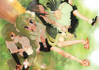 Anime girls bandaids nature dappled - their foot free wallpaper