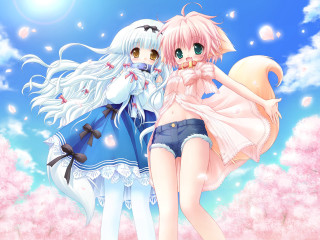 Two anime girls hanami cherry - a detailed drawing free wallpaper for desktop