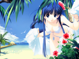 Woman beach palm flowers blue - a beach next free wallpaper for desktop