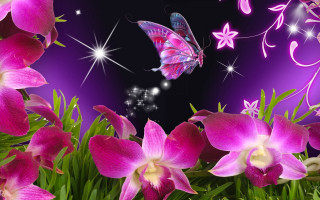 Purple flower butterfly stars swirls - star and swirls free wallpaper