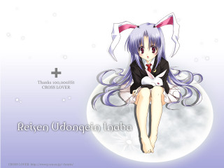 Moon bunny girl cat cross - a caption below free wallpaper