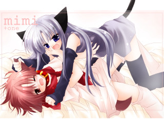 Miki one anime cat ears - a bed together free wallpaper