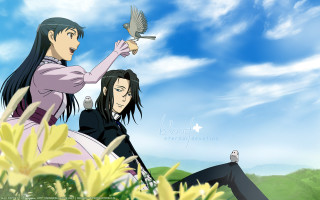 Grass field birds flower sunlight - above them free wallpaper