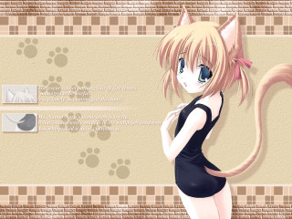 Girl cat tails anime remodernism - a cat tail free wallpaper