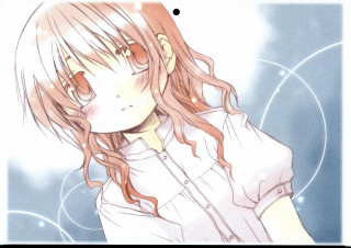 Alice prin blush longhair white - a white circle free wallpaper