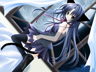 Gothic anime cat ears moonlight - long hair and a cat ears free wallpaper