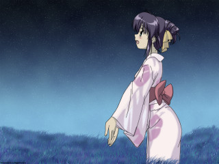 Kimono night field moon fireflies - a woman in a kimono free wallpaper