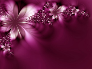 Purple background flowers side white - a bunch of flowers free wallpaper