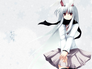 White hair girl cat ears - white hair free wallpaper for desktop