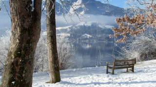 Snowy bench tree mountain lake - a bench free wallpaper