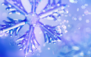 Close up snowflake snowflakes side - free stars wallpaper for desktop