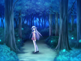 Forest path bamboo light holography - the middle of a forest free wallpaper for desktop