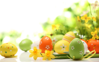 Eggs flowers grass bokeh folkart - yellow flower free wallpaper