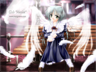 Angel wings blue dress bird 2 - white wing free wallpaper