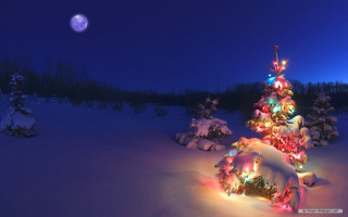Christmas tree snow night full 8 - a full moon in the sky free wallpaper for desktop