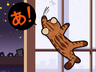 Cat back window sill love - its back free wallpaper for desktop