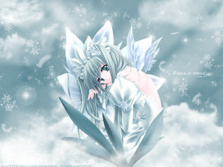 Fairy cloud snowflakes halo greeneyes - top of a cloud free wallpaper