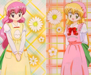 Anime flowers daisy plaid portrait - plaid free wallpaper