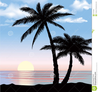 Palm tree beach sunset ocean 2 - the beach free wallpaper for tablet