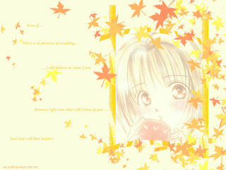 Autumn stars girl leaves manga - book cover free wallpaper for desktop