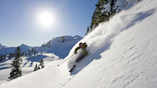 Skiing snowy mountain trees sun 2 - full round face free wallpaper