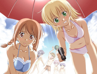 Beach bikini umbrella microphone group - their hand and a man holding free wallpaper