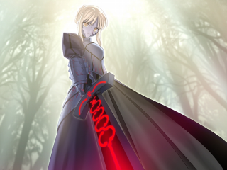 Woman armor dress sword forest - a long dress holding free wallpaper