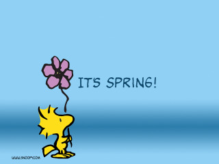 Cartoon dog holding flower its - charles schulz free wallpaper