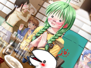 Group people food cat aya - the table in front free wallpaper