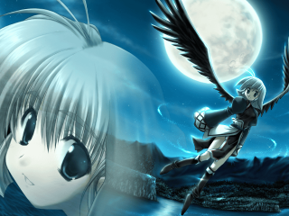 Girl sword flying moon bird - over her head free wallpaper