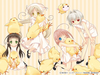 Girls chicks animals dress stripes - a white dress free wallpaper for desktop