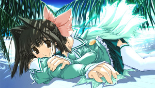 Anime girl laying palm trees - a anime girl free wallpaper for desktop