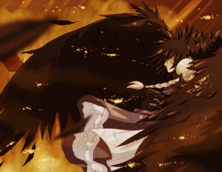 Gothic anime bird fire wings - room free wallpaper for desktop