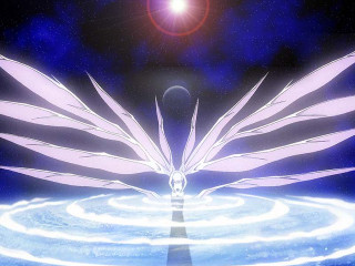 White bird flying blue water - a blue circle free wallpaper