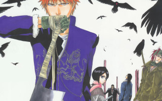 Purple coat birds sword manga - him free wallpaper for desktop